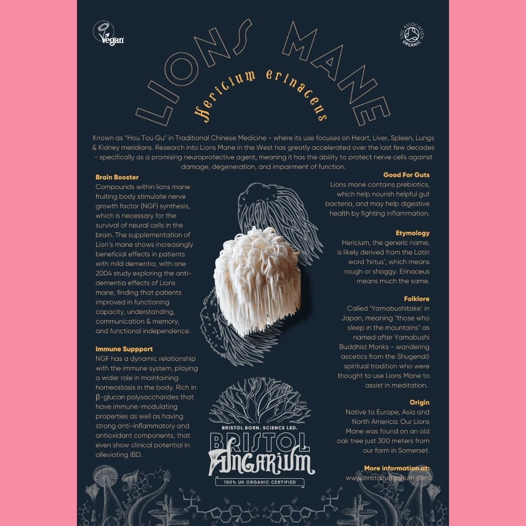 Radeks Chocolate Eggs Lions Mane Facts