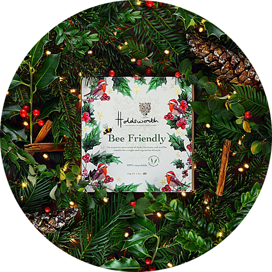 Holdsworth Bee Friendly Christmas Gift Box