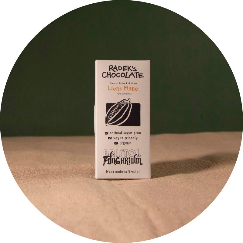 Radek's Chocolate Bar [Lions Mane, 30g]