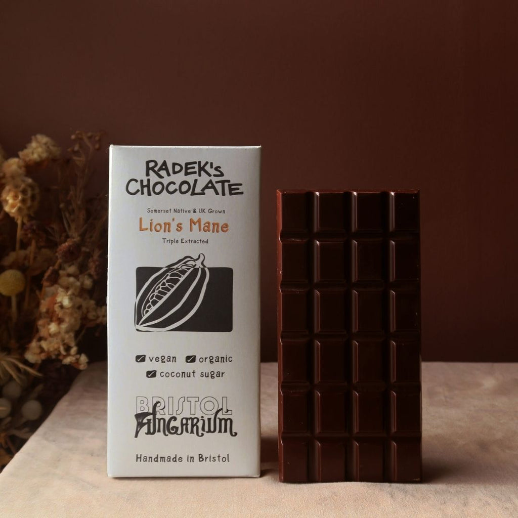 Radek's Chocolate Bar [Lions Mane, 67g]