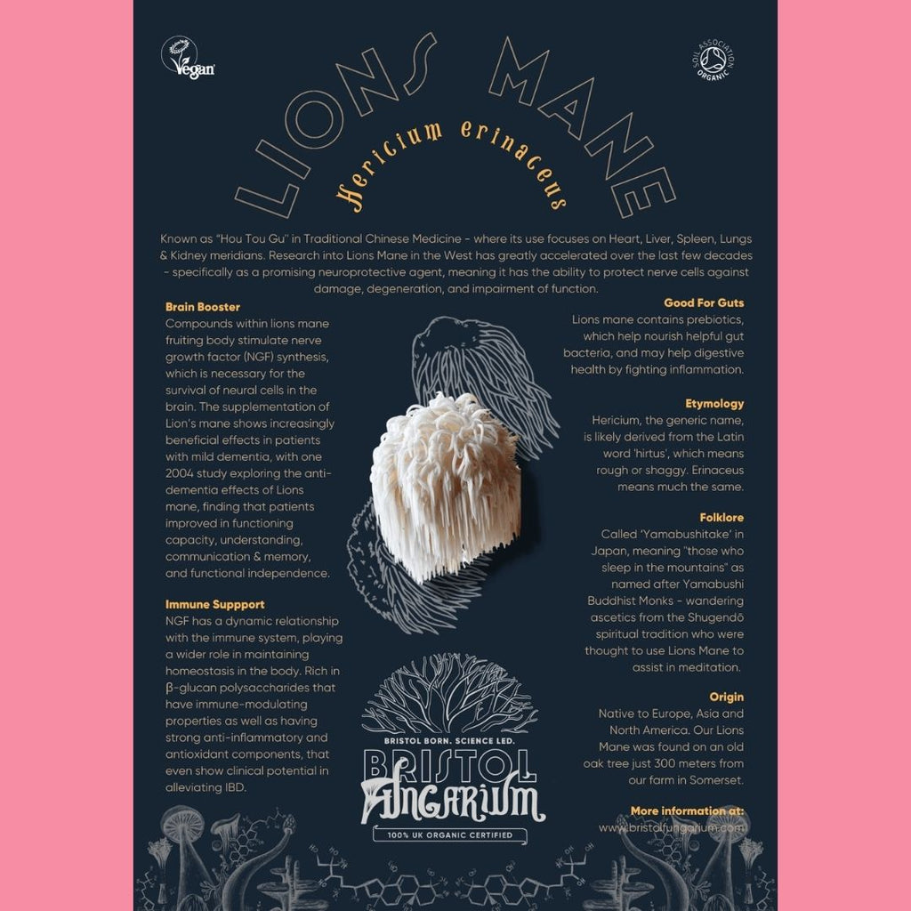 Radeks Chocolate Eggs Lions Mane Facts