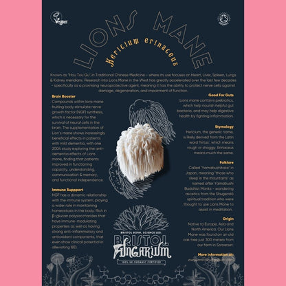 Radeks Chocolate Eggs Lions Mane Facts