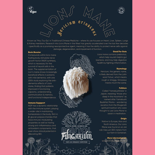 Radeks Chocolate Eggs Lions Mane Facts